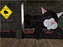 Big Kitteh