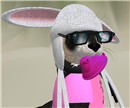 My friend Dizzy