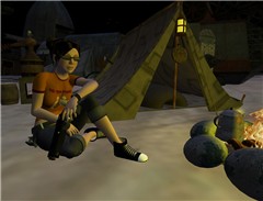 Bivouacic in the wastelands