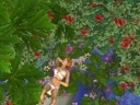 thumbnail_f4f83727_54f83fb9