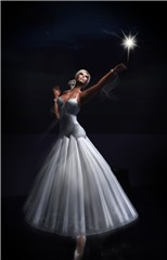 Reaching for a shooting star (to make a wish come true)