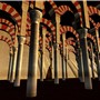 Mezquita