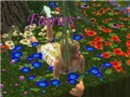 FAIRIES