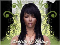 Rebirth of Spring