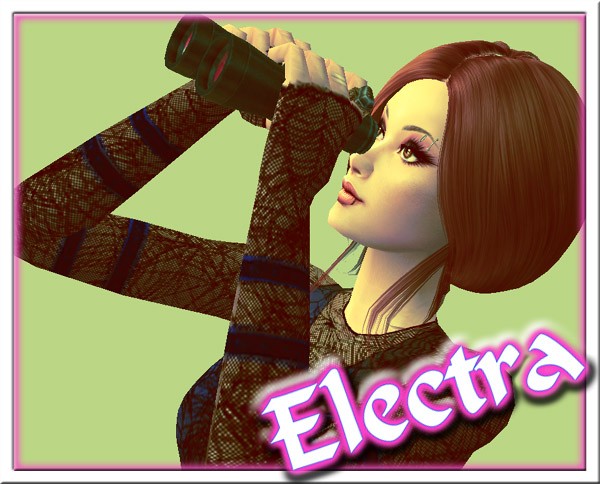 electrabird