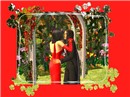 sims2springcontest