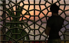 Window view