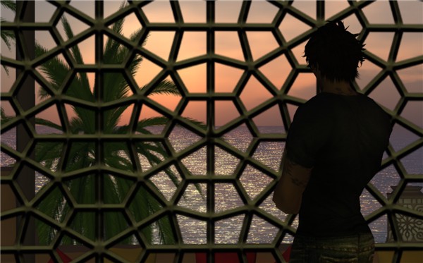Window view