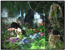 Il risveglio della primavera