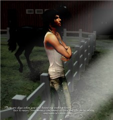 The Horse Breeder