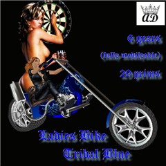 AD - Ladies Bike TB
