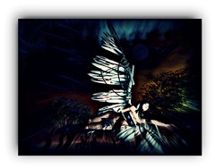 Night Flyer