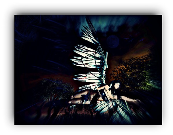 Night Flyer