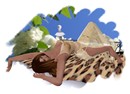 Kismet 003