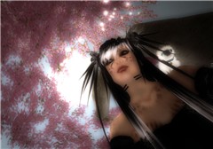 under-the-cherry-tree