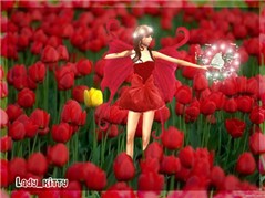 Tulips'_Fairy