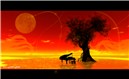 chouchou2 (small)