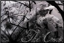 Stormi_d__uccelli_neri_by_castrovalva