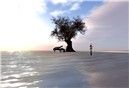 Aquarelle