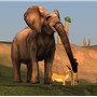 Africa - Koinup Burt