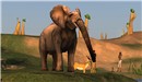 Africa - Koinup Burt