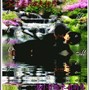 kissme