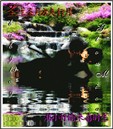 kissme