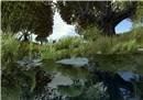 lake