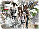 What flowers to pick...