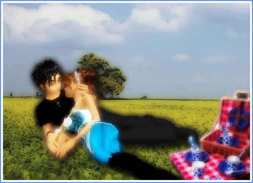 picnic