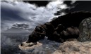 after storm