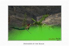 Defender of the Realm MATTED