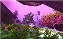 Sitting In Flowers