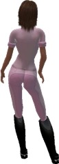 figure_back