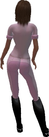 figure_back
