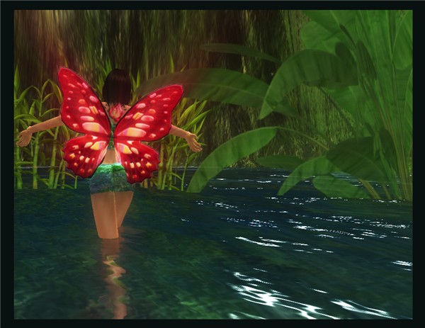 Butterfly