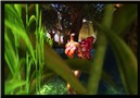 Butterfly bath
