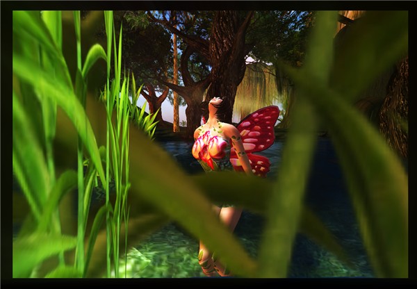 Butterfly bath