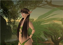 annette-voight-_013