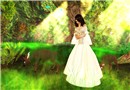 Zywia
