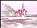 seaAngel6