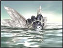 seaAngel5