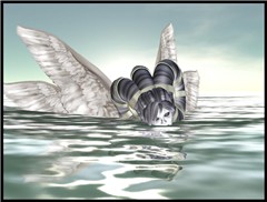 seaAngel5