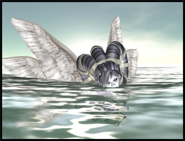 seaAngel5