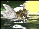 seaAngel4