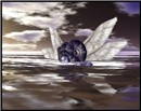 seaAngel2