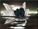 seaAngel1