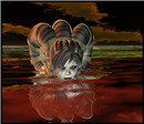 Syren8