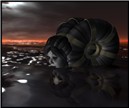 Syren6