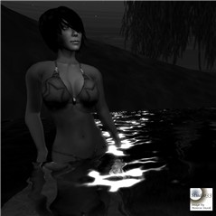 Snapshot_021